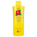 Premium Shampoo - Oshima Tsubaki